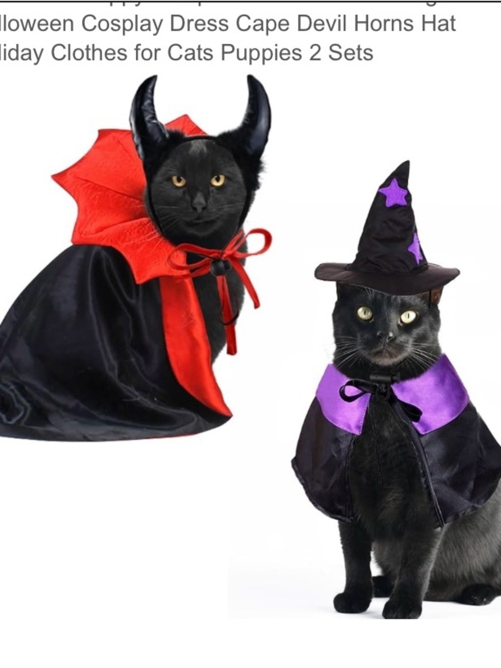 Small dogs or cat Halloween Pet Costume Set - Black, Red, Purple